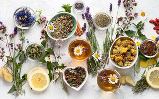 Quelles plantes pour vous accompagner à perdre du poids?
