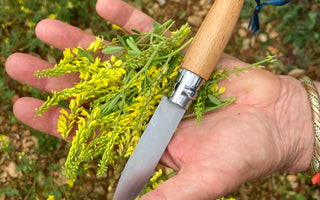 Préparatoire d'un herboriste