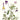 Pensée sauvage BIO (plante vrac)