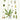 Plantain BIO (plante vrac)