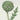 Artichaut BIO (plante vrac)