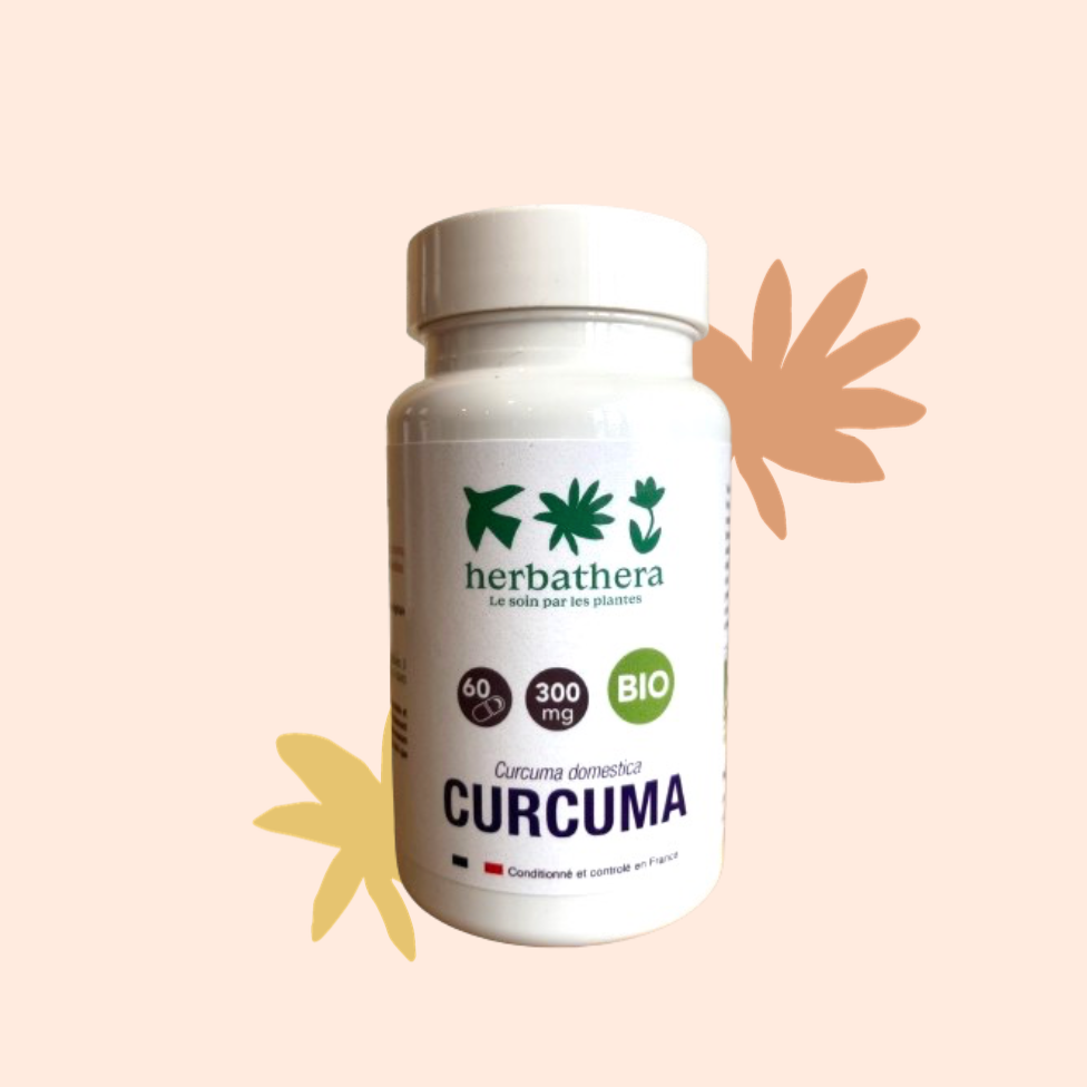 Curcuma BIO (Poudre)