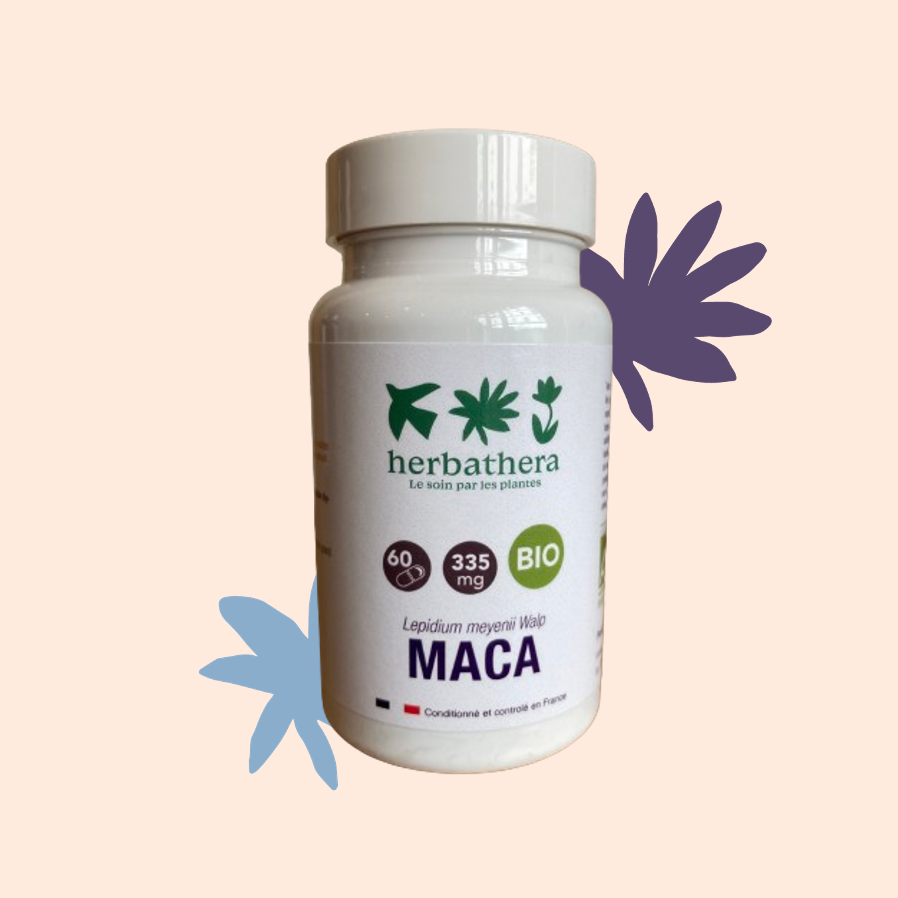 Maca BIO (Poudre)