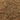 Carvi BIO (plante vrac)