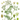 Carvi BIO (plante vrac)