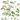 Coriandre BIO (plante vrac)
