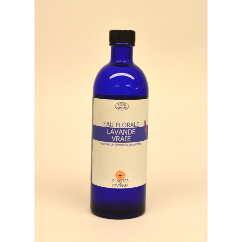 Lavande sauvage BIO (Eau florale)